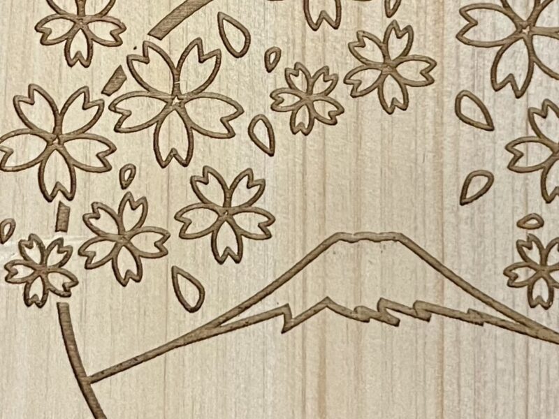 ヒノキの向こうに、何かが見える