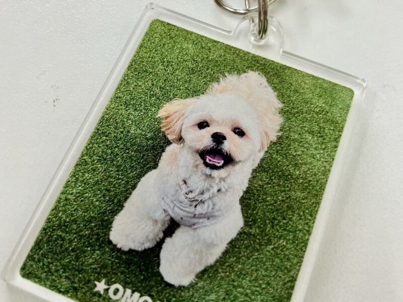 オモチちゃんのアクリルスタンド＆キーホルダーを制作しました！