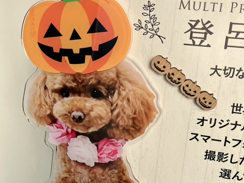 登呂工房の看板 ハロウィンから秋の風へ